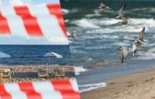 "А где люди?": как выглядят оккупированные курорты Азовского моря (видео)