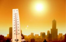 Аномальна спека в одній із країн Європи забрала життя близько 1000 людей за кілька днів
