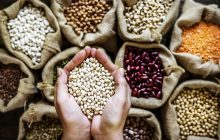 8 продуктов с клетчаткой, которые оказались лучше фасоли: список из рациона диетолога