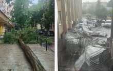 Поваленные деревья и сорванная крыша администрации: на Львов обрушилась сильная гроза (фото)