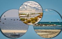Кінбурнська коса вже ніколи не стане такою, якою була до війни, - еколог
