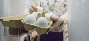 Багато людей роблять помилку, зберігаючи яйця в цьому місці: де їх краще тримати в будинку