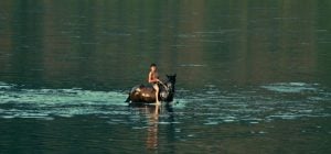 Українцям нарешті покажуть новий фільм режисера "Памфіра"