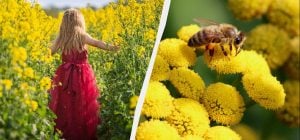 В Украине сегодня будет аж 4 праздника: что отмечаем и кого поздравляем 7 июня