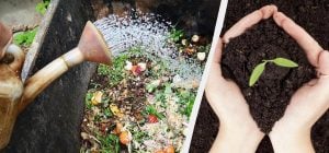 Робимо прискорювач компосту своїми руками: купа перегниє удвічі швидше