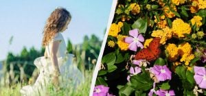 Усі свята 8 червня в Україні та у світі: який провести обряд на здоров'я