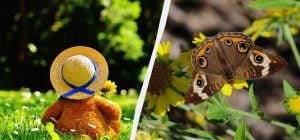 Свято та звичаї 22 червня: що сьогодні зробити, щоб родина була щасливою