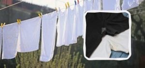 Это средство отбеливает даже старые желтые пятна от пота: о чем идет речь