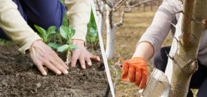 В июле на участке надо сделать 8 вещей: короткая памятка для дачника