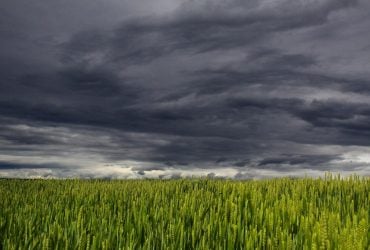 Погода в Украине становится всё более экстремальной: метеоролог объяснила, ждать ли стабильности