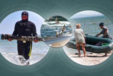 Відновити Азовське море до довоєнного стану не вийде: біолог назвав причину
