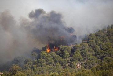 Лісові пожежі дедалі сильніше б’ють по заможних країнах: екологи пояснили причину