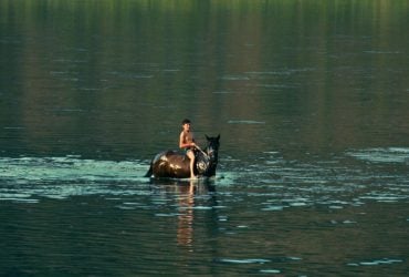 Українцям нарешті покажуть новий фільм режисера "Памфіра"