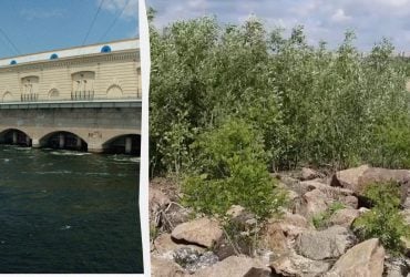 Величезна екосистема загинула миттєво: вчений розповів, що зараз з Каховським водосховищем