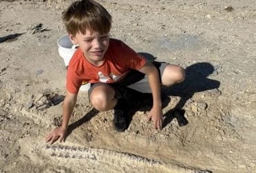 Хлопчик знайшов скам'янілість величезної морської рептилії віком 85 мільйонів років