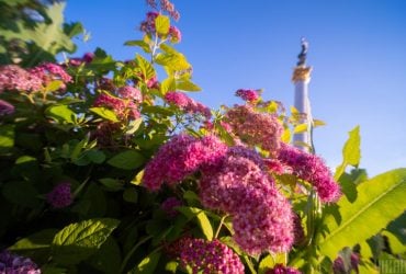 Тиждень у Києві розпочнеться з 20-градусної тепла
