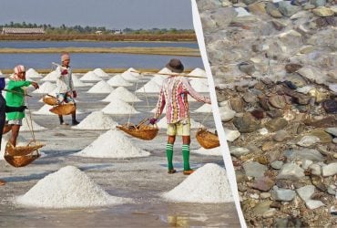 Шкільне питання, яке ставить дорослих у глухий кут: звідки береться сіль у морській воді
