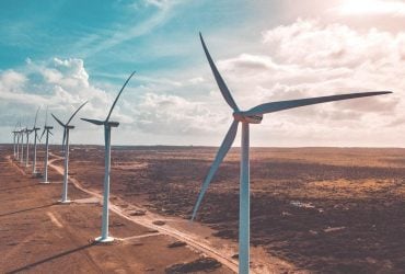 Вітрові турбіни в Індії змінили життя диких тварин до невпізнання