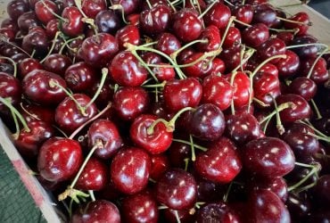 В Україні стрімко дорожчає черешня: ціни знову кусаються