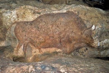 Ученые раскрыли главную тайну французской пещеры с черными рисунками
