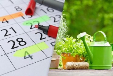 Календар садівника на липень 2026: які дні виділити для роботи на городі