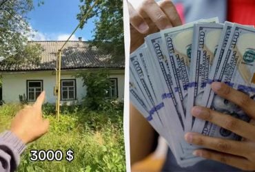Чоловік виставив на продаж сільську хату за 3000 доларів і нарвався на хейт