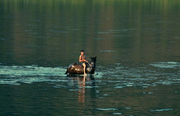 Українцям нарешті покажуть новий фільм режисера "Памфіра"