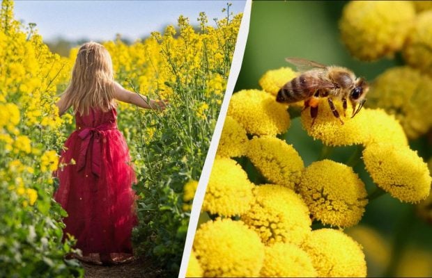 Сьогодні в Україні буде аж 4 свята: що відзначаємо та кого вітаємо 7 червня