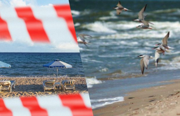 "А де люди?": який вигляд мають окуповані курорти Азовського моря (відео)