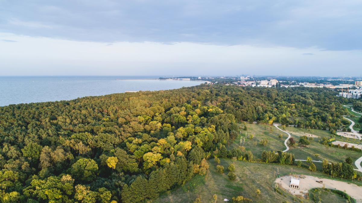 В польском лесу нашли 3000-летний клад эпохи бронзы В польском лесу нашли 3000-летний клад эпохи бронзы