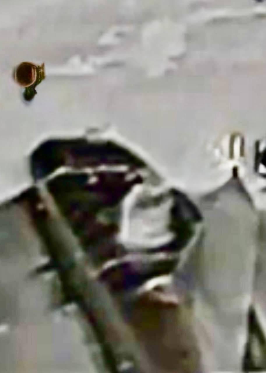 РФ запускає 'Гербери', які дозволяють себе збивати: Флеш пояснив, що міг задумати ворог