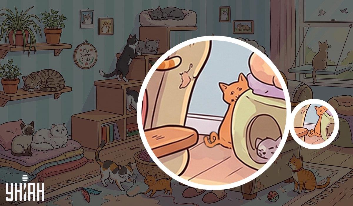 Серед котів є один незвичайний: його треба знайти за 10 секунд Серед котів є один незвичайний: його треба знайти за 10 секунд