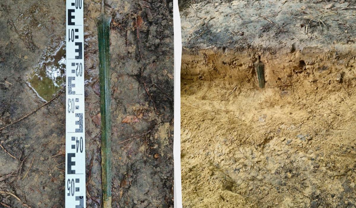 В Польше мужчина гулял по лесу и нашел древний меч возрастом 2700 лет В Польше мужчина гулял по лесу и нашел древний меч возрастом 2700 лет
