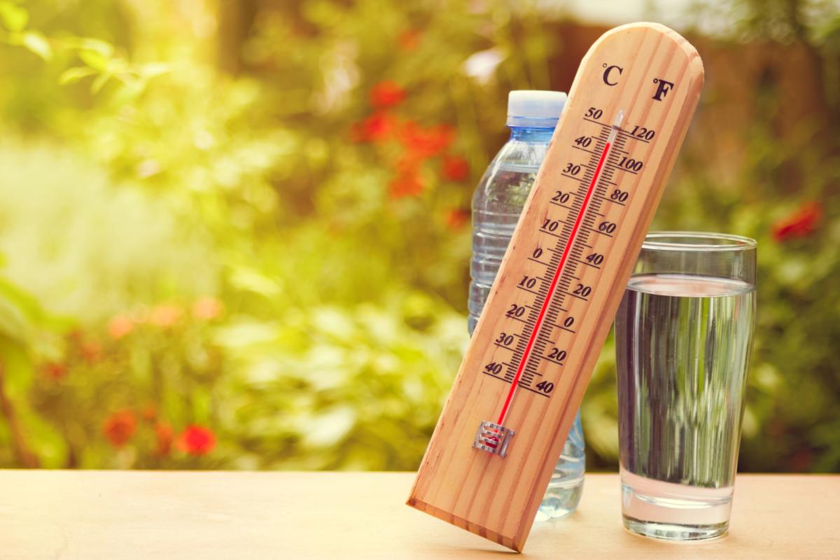 После короткого похолодания Украину накроет +38°: прогноз синоптика