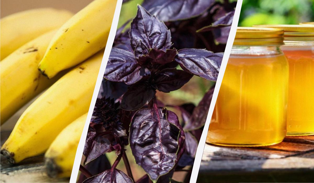 Це може лише зашкодити: 11 продуктів, які не варто зберігати в холодильнику