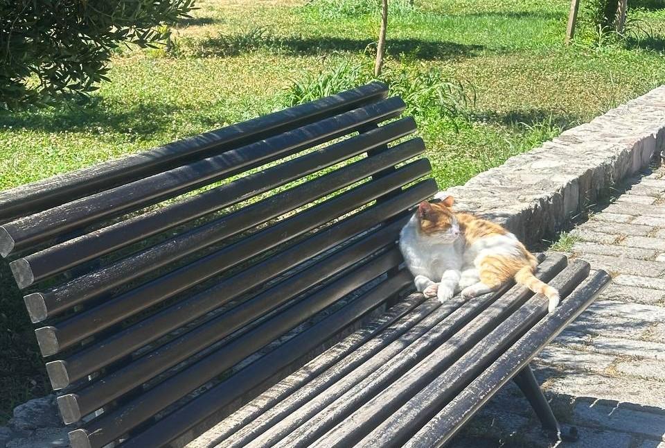 Через Чорногорію на авто: до чого варто бути готовими туристам у цій мальовничій країні Через Чорногорію на авто: до чого варто бути готовими туристам у цій мальовничій країні