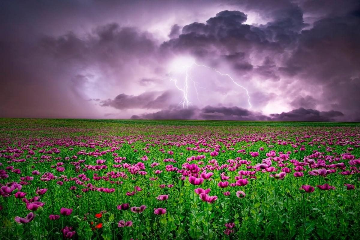 Weather forecast in Ukraine: an anticyclone will replace the heat