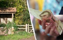 Украинцев штрафуют за сорняки на участке: какой высоты может быть трава