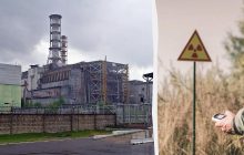 У руїнах 4-го енергоблоку ЧАЕС ховається організм, що харчується радіацією, - вчені