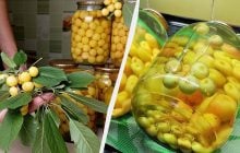 Вітамінний компот із черешні та липи: українка придумала незвичайну консервацію