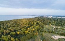 В польском лесу нашли 3000-летний клад эпохи бронзы