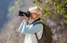Лисиця та "летючий краб": фотографка спіймала унікальний кадр при опівнічному сонці у Норвегії
