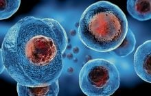 В США создали синтетическую форму жизни, которая умеет питаться, расти и размножаться