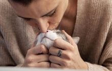 Чому ваша кішка муркоче насправді: ось що з’ясували вчені
