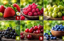 Какая ягода ваша самая любимая: психологический портрет по картинке