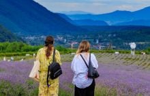В Закарпатье бескрайние лавандовые поля привлекают толпы туристов (фоторепортаж)