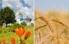 8 июля: церковный праздник сегодня, что в этот день обещает жару и богатый урожай