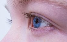 Ученые вырастили у мышей новую сетчатку глаза из стволовых клеток, - исследование