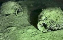 Археологи обнаружили затонувший корабль возрастом 2400 лет, загруженный сотнями амфор