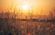 Наприкінці липня в Україну зайде 30-градусна спека (карта)